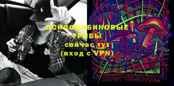 стаф Алексеевка