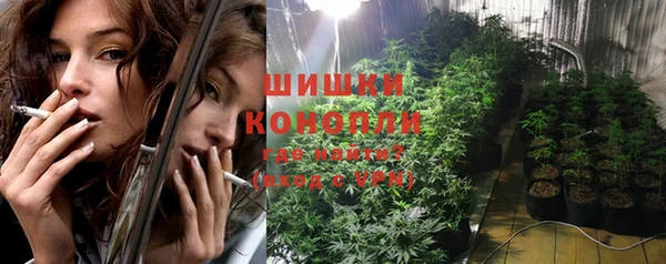 твердый Михайлов