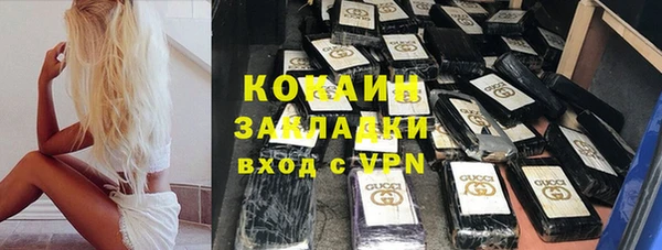 твердый Михайлов