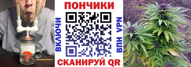 Шишки марихуана Bruce Banner  сайты даркнета официальный сайт  Цоци-Юрт 